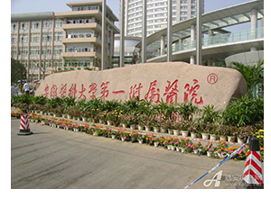 &#31859;&#20848;&#23448;&#26041;&#32593;&#39029;&#29256;&#45;&#31859;&#20848;&#77;&#105;&#76;&#97;&#110;&#40;&#20013;&#22269;&#41;